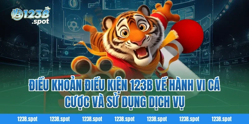 Điều khoản điều kiện 123B 3 Điều khoản điều kiện 123B về hành vi cá cược và sử dụng dịch vụ
