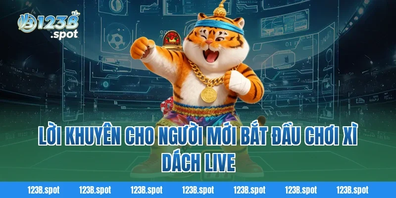 Xì Dách Live – Trải nghiệm cá cược đỉnh cao tại 123B 4 Lời khuyên cho người mới bắt đầu chơi Xì Dách Live